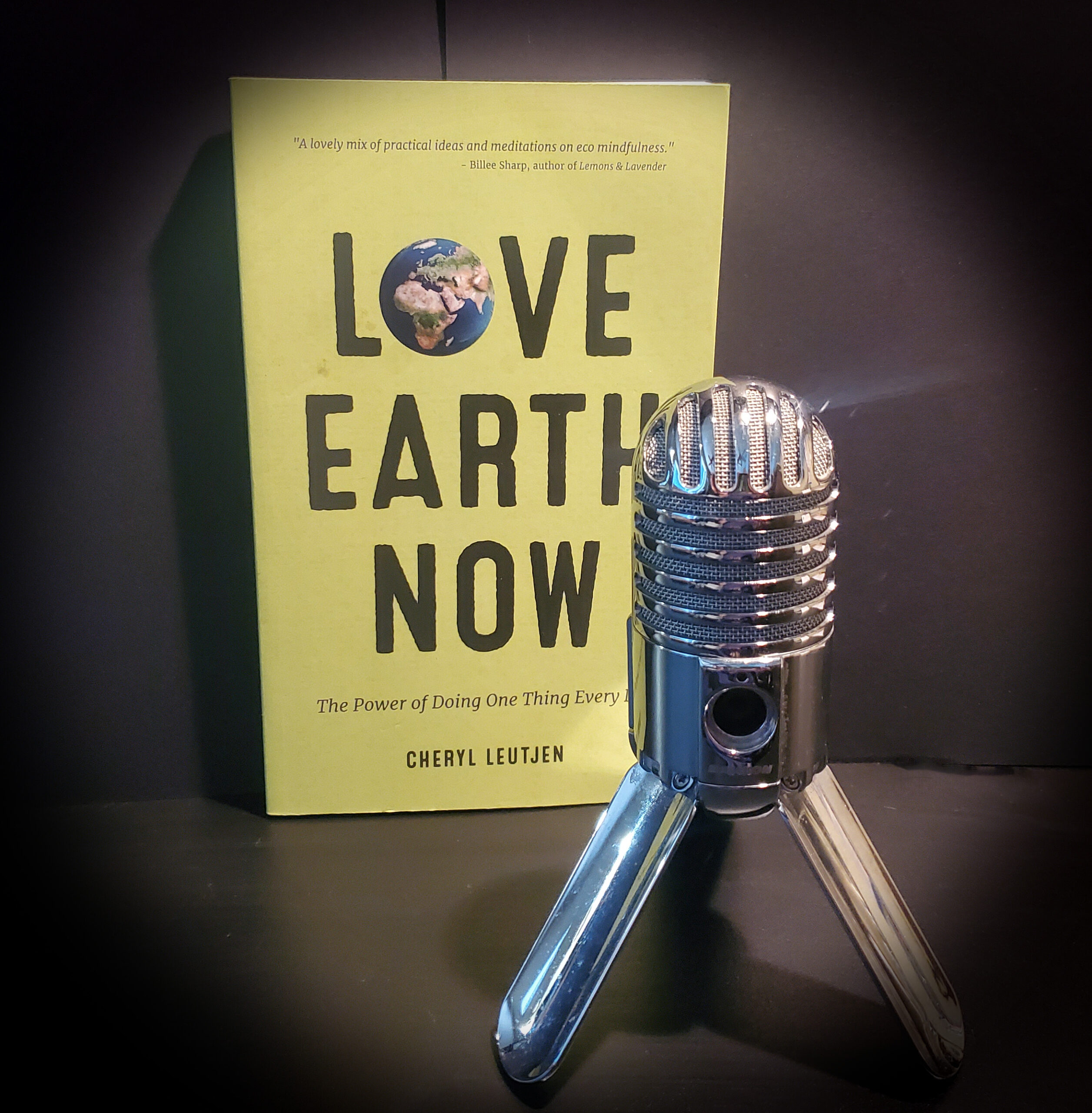Love Earth Now book