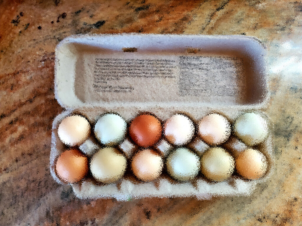 carton of colorful eggs