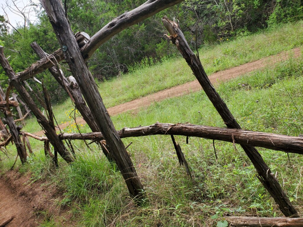 Rustic fence made of slender, shaggy wood poles 