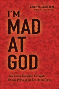 Book Cover reads: I'm Mad at God and Other Horrible Thoughts on the Brink of an Eco-Apocalypse